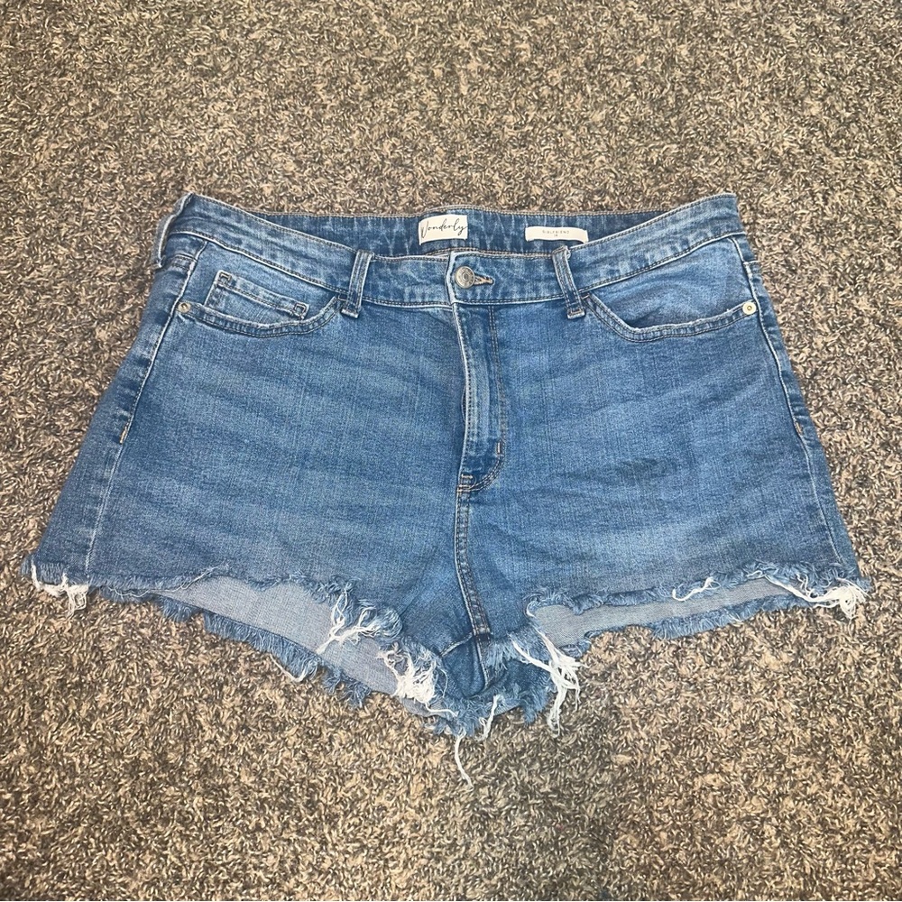 Blue Jean Shorts Casual Frayed Hem